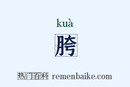 胯是什么意思的图片